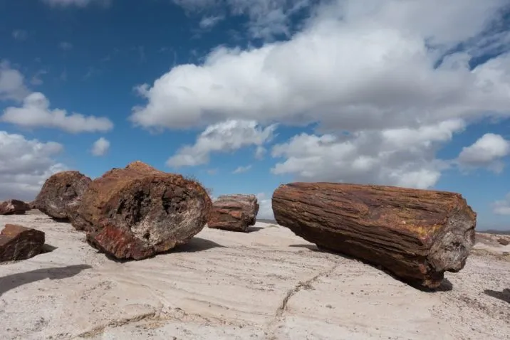 Why Go to the Painted Desert in Arizona