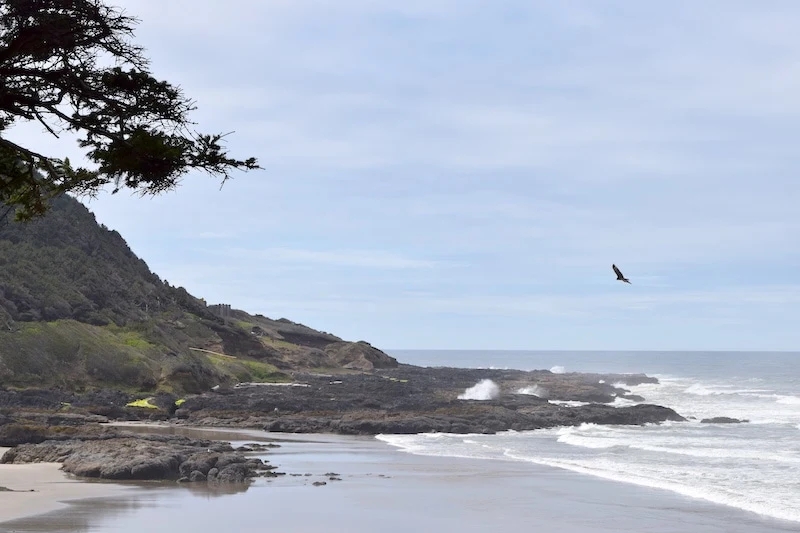 Interesting Activities in Yachats Oregon